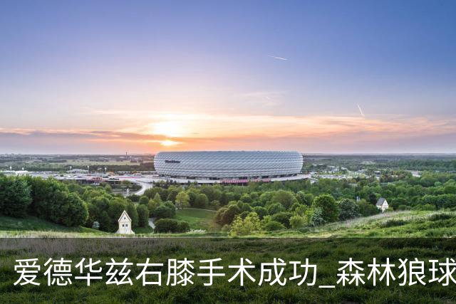 爱德华兹右膝手术成功 森林狼球星预计缺席两个月