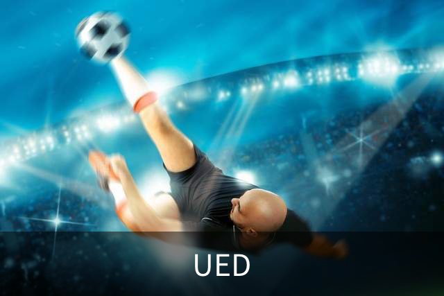 UED公司介绍图片